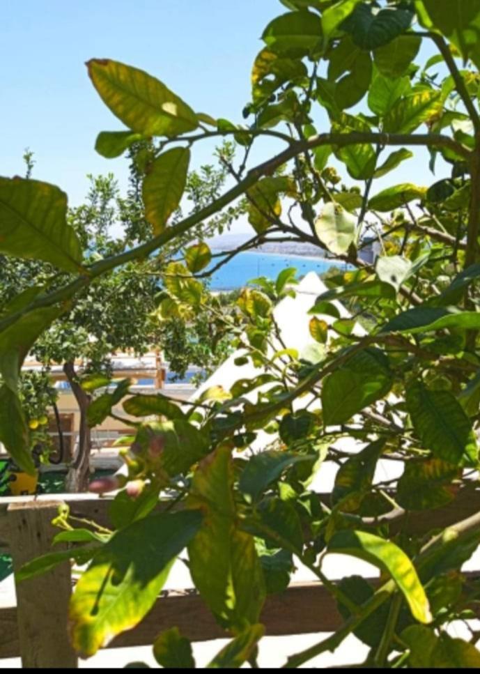 Queens Luxury Glamping Palaiokastro  Luaran gambar