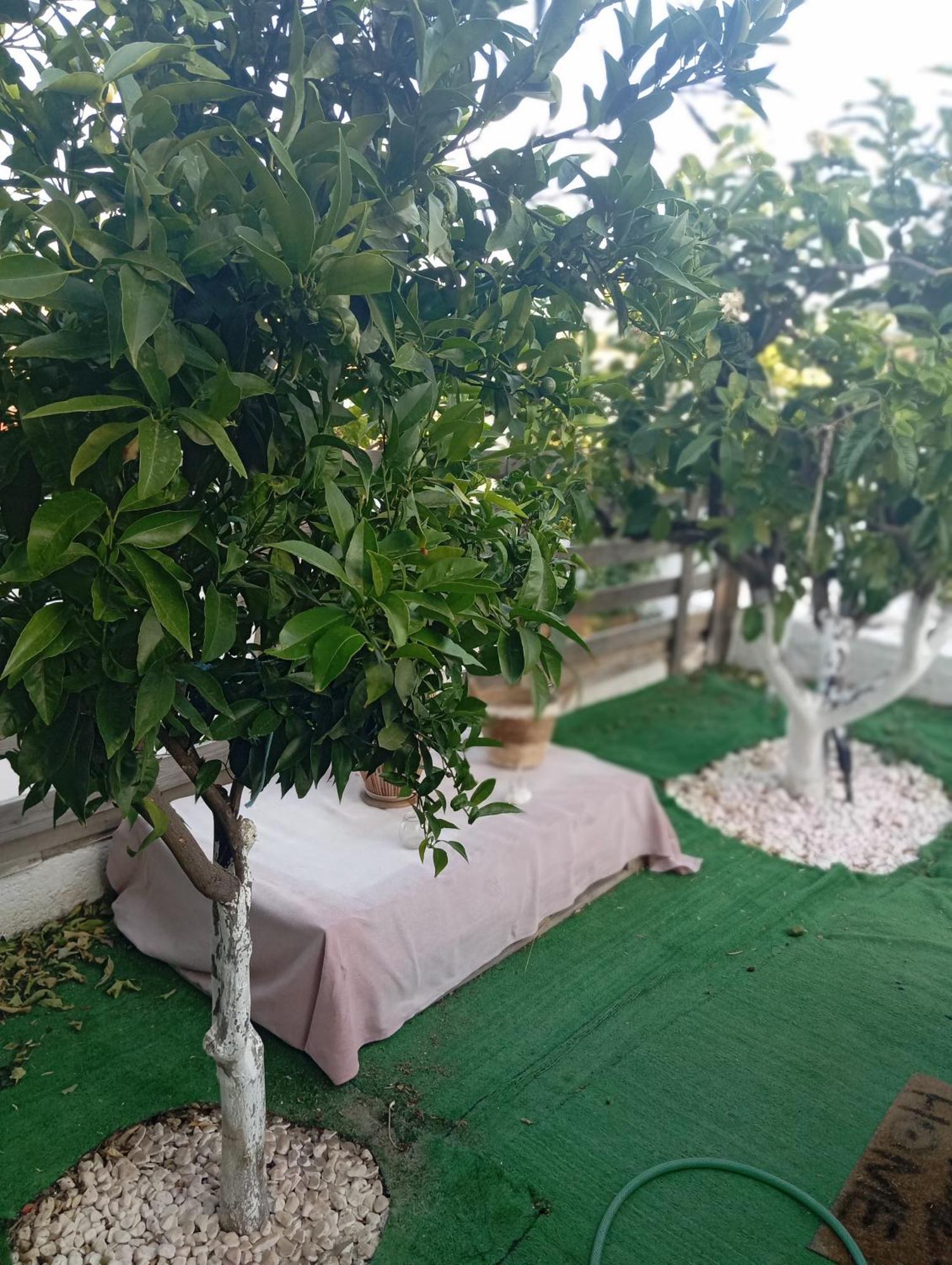 Queens Luxury Glamping Palaiokastro  Luaran gambar